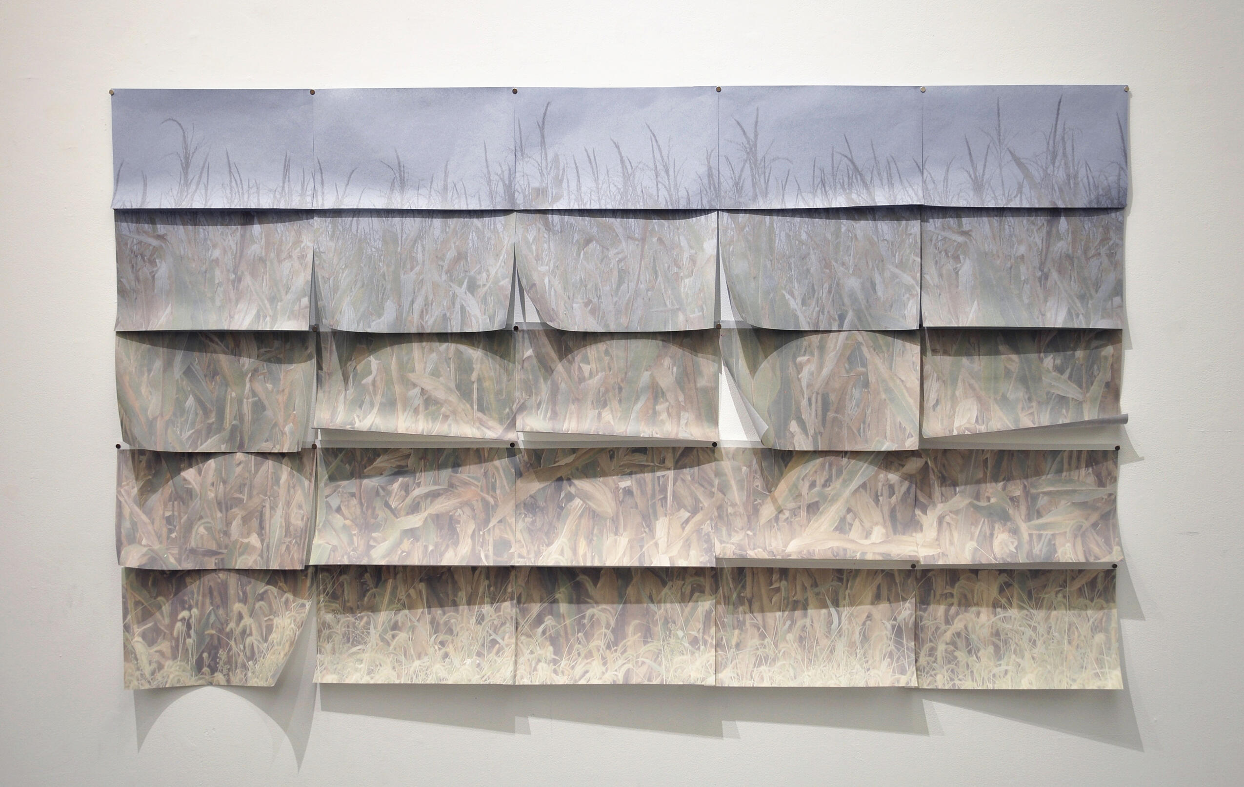 Field View 3, digital prints on handmade paper, magnets, 2017